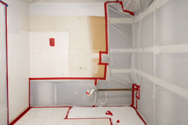  Woodmoor, CO Mold Removal Pros