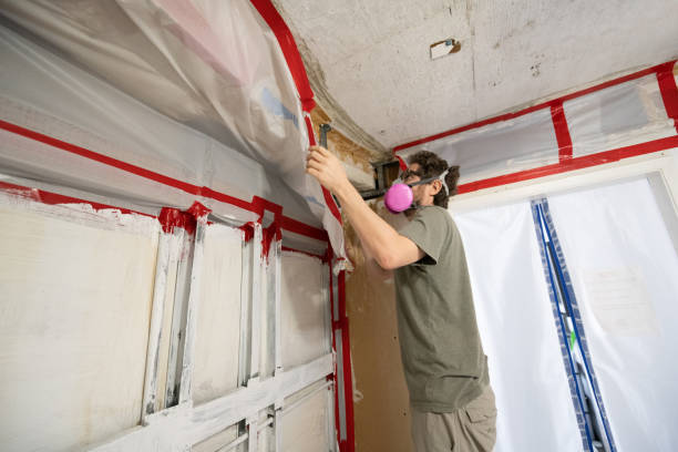 Best Air Quality Testing for Mold Spores  in Woodmoor, CO