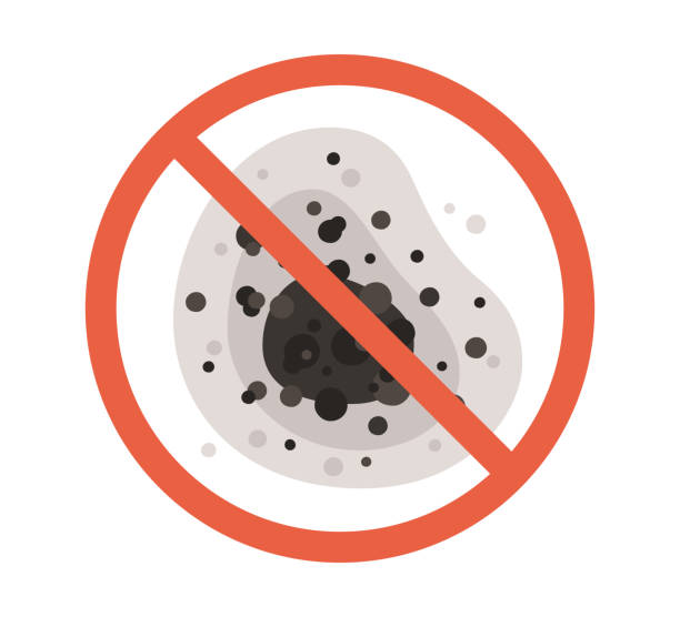 Best Environmental Consulting for Mold Prevention  in Woodmoor, CO