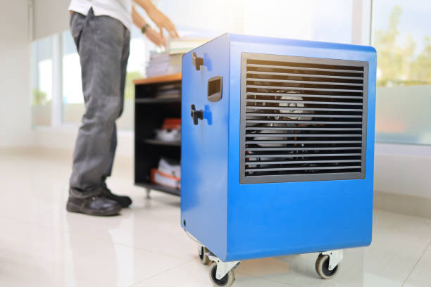 Best Attic Mold Removal  in Woodmoor, CO