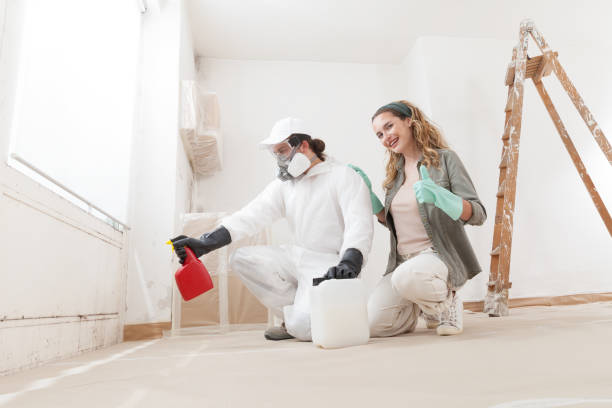 Best Mold Remediation for Healthcare Facilities  in Woodmoor, CO